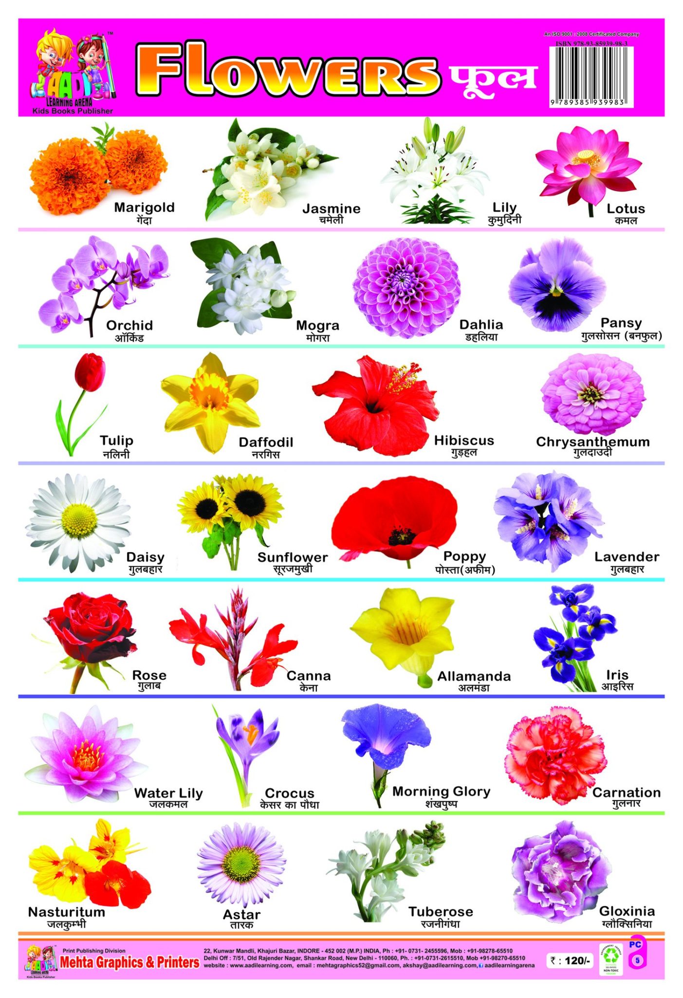List of Flowers Name in Hindi and English PDF - फूलों के नाम
