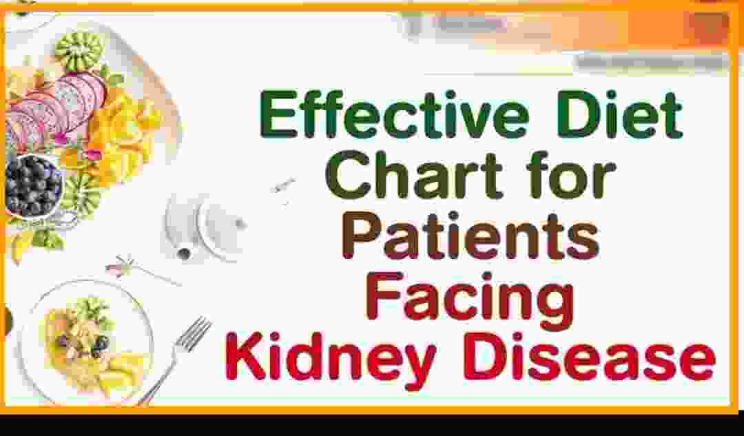 Diet Chart For Kidney Patients PDF