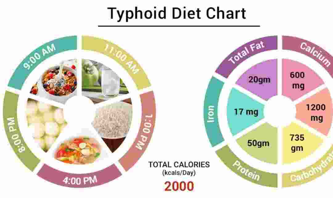 Typhoid Diet Chart PDF