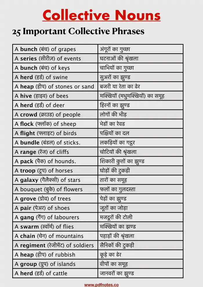 Important Collective Nouns Phrases List