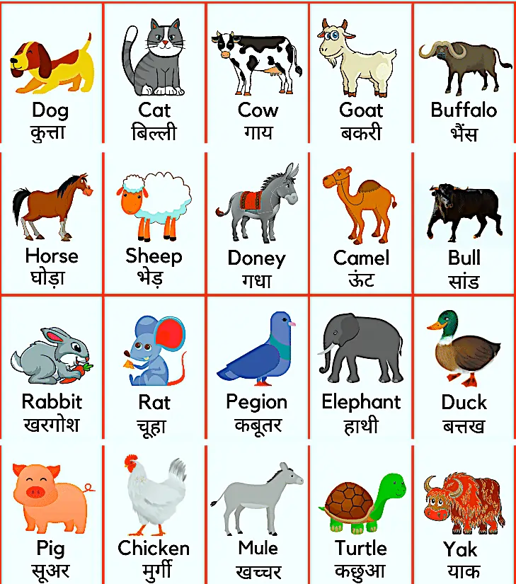 सभी पालतू जानवरों के नाम | Domestic Animals Name in Hindi PDF